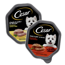 Cesar alu kuipjes